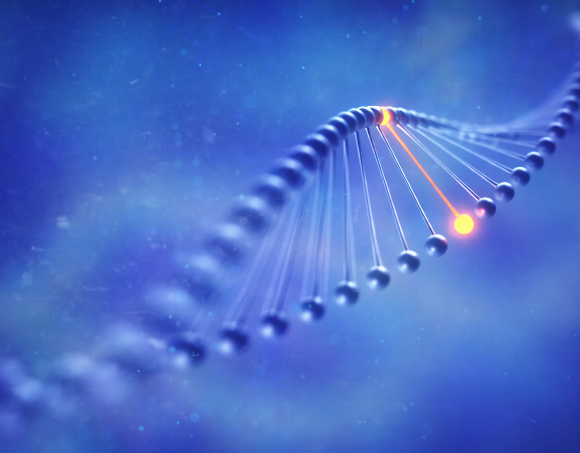 Untitled design (30)-1