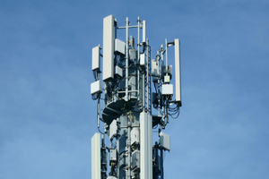 Untitled design (66)