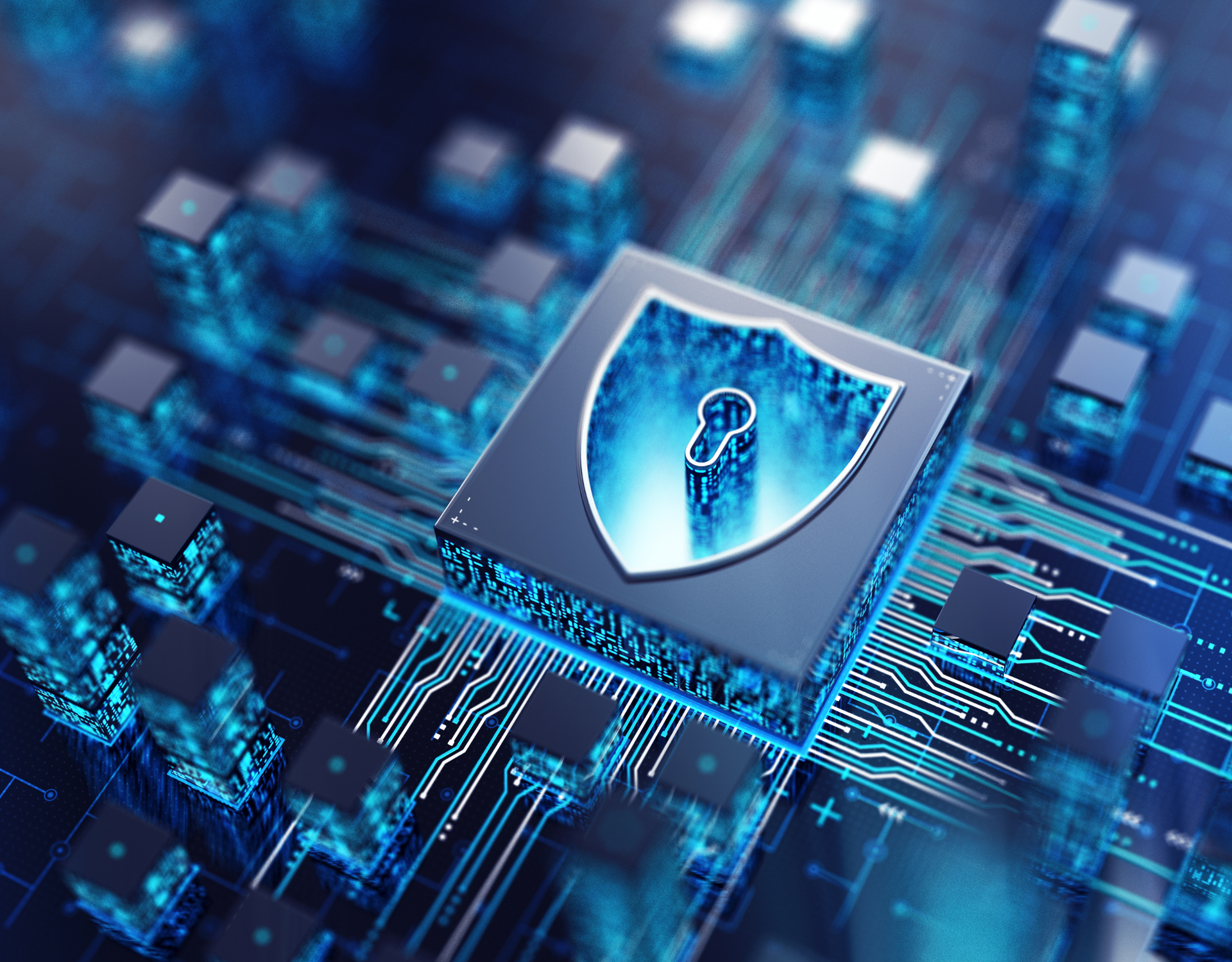 Untitled design (81)-1