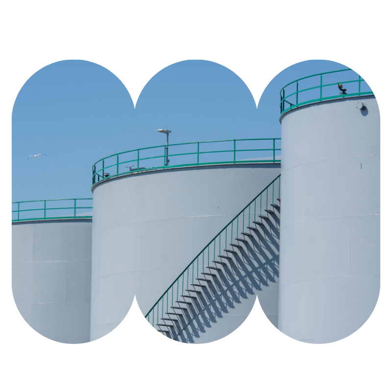 a group of young professionals laughing (40)