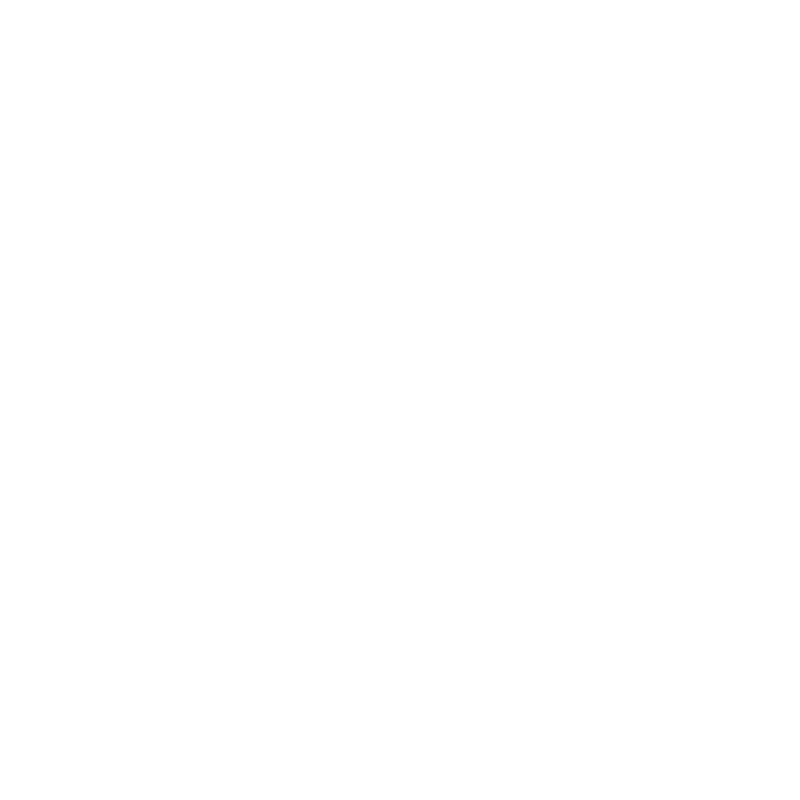 customer experience and loyalty (2)