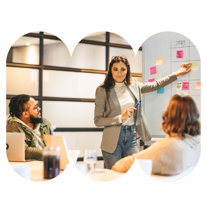 project management project management