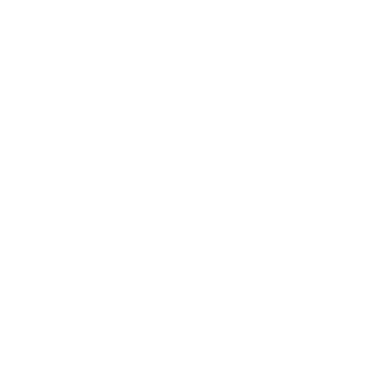 security icon